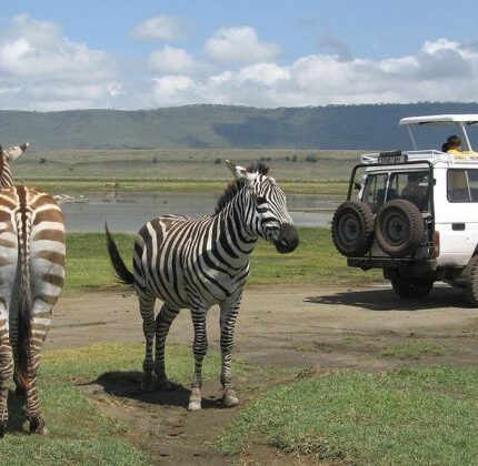 5-DAY TANZANIA ADVENTURE