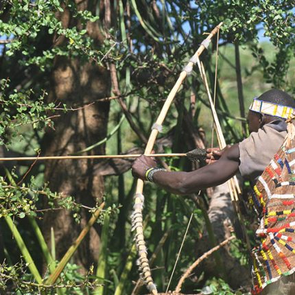 4-DAY SAFARI TO NORTH TANZANIA PARK AND BUSHMEN CULTURAL TOUR