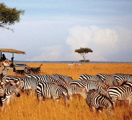 3 Days MASAI MARA SAFARI EXPERIENCE