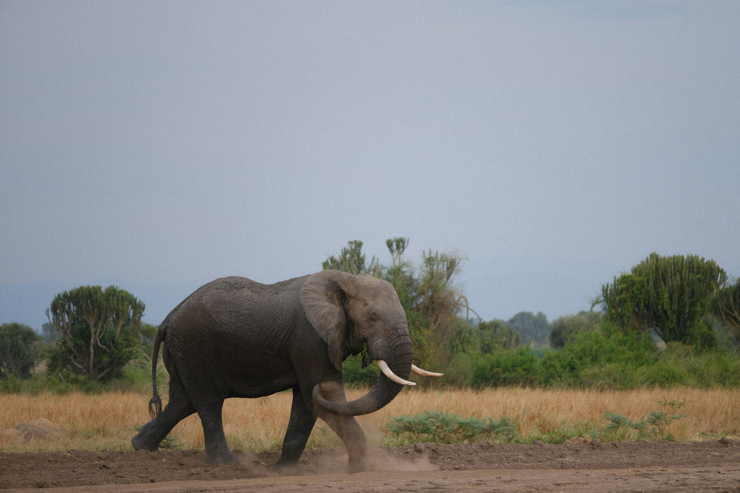 simone-dinoia-ewBGsxuMv3Y-unsplash simone-dinoia-ewBGsxuMv3Y-unsplash