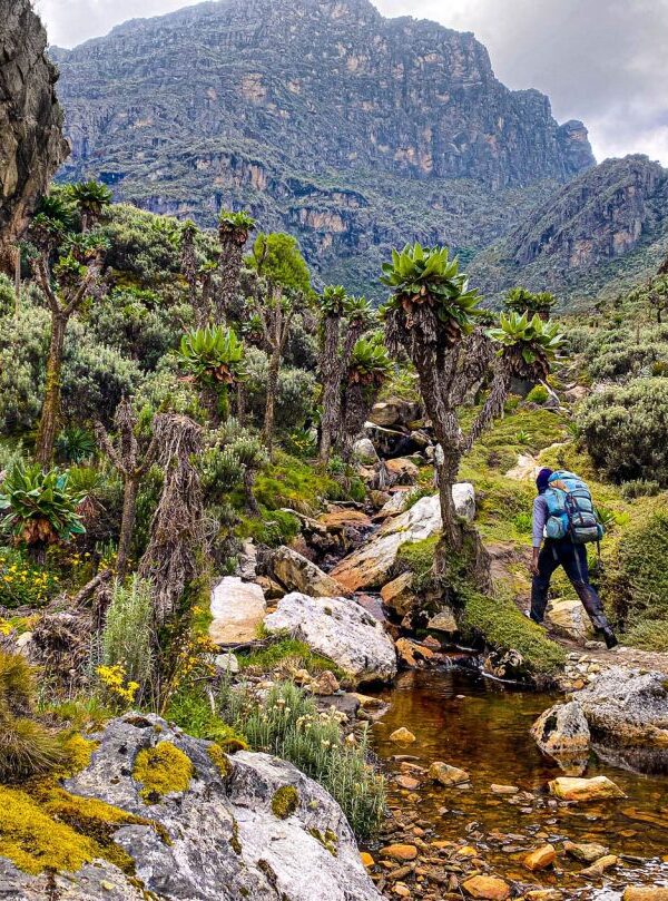Rwenzori-Mountains-03_1600p-1024×809