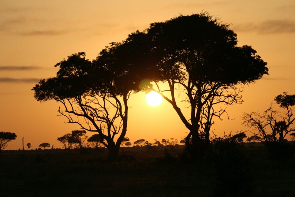murchison falls national park