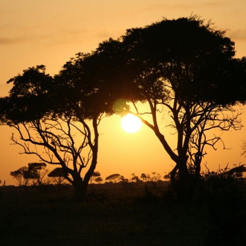 murchison falls national park