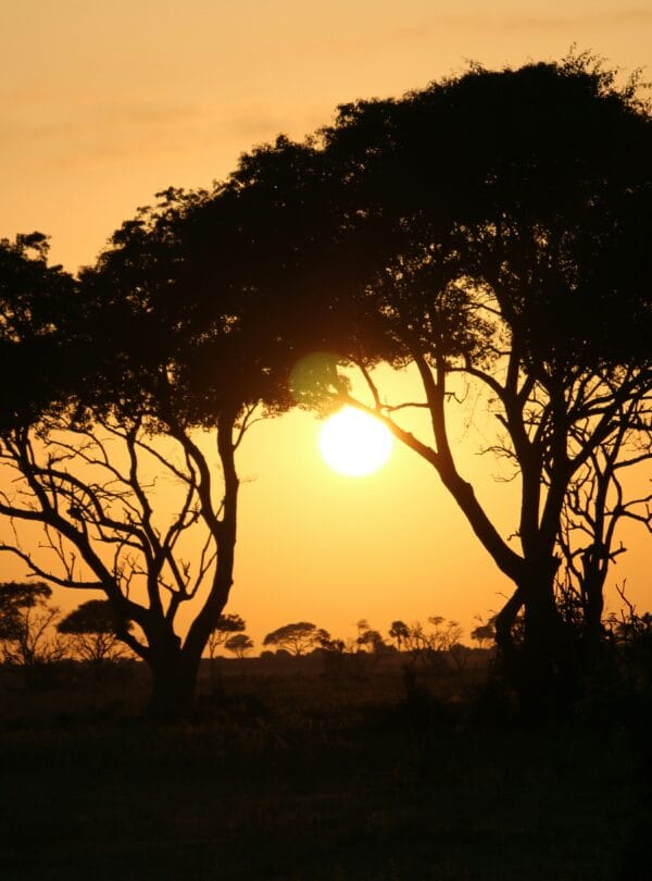 murchison falls national park