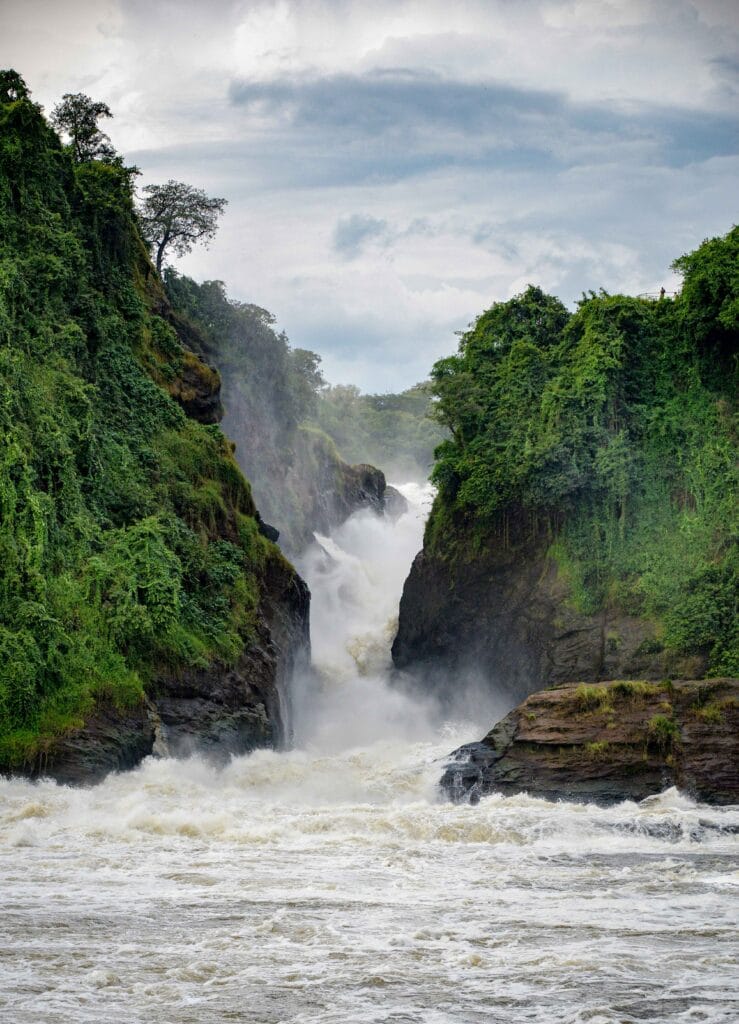 Murchison Falls National Park Uganda: Complete Travel Guide, Safari Costs & Best Experiences (2026) 2 Murchison Falls National Park Uganda Complete Travel Guide