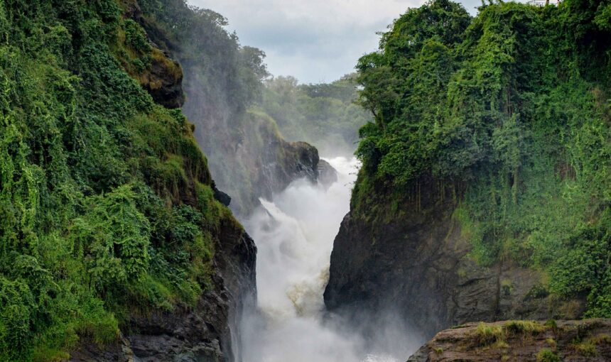Murchison Falls National Park Uganda: Complete Travel Guide, Safari Costs & Best Experiences (2026)
