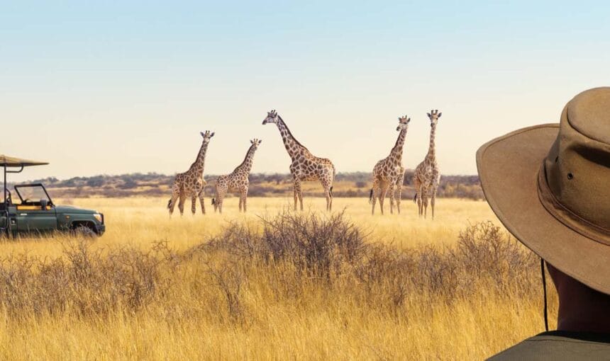 The Pearl of Africa Refined: The Ultimate Uganda Luxury Safari Guide