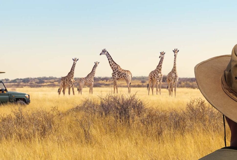 Uganda Luxury Safari