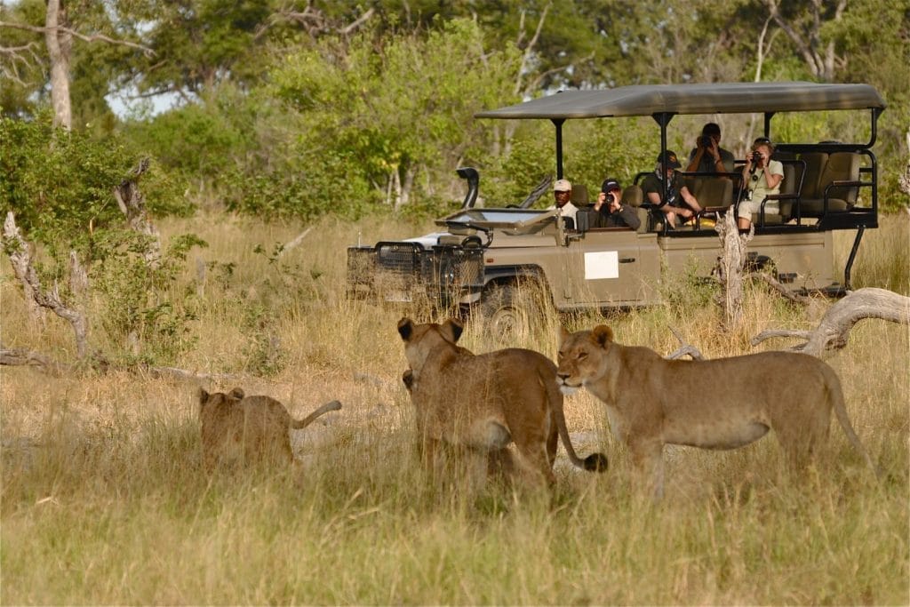 Murchison Falls top activities wildlife safari game drives northern bank