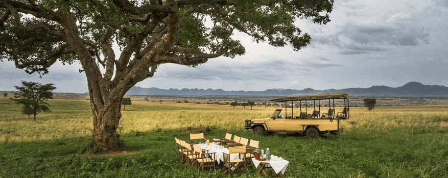 Uganda Luxury Safari