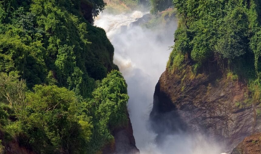 The Ultimate Guide to Murchison Falls Top Activities (2024 Safari Edition)