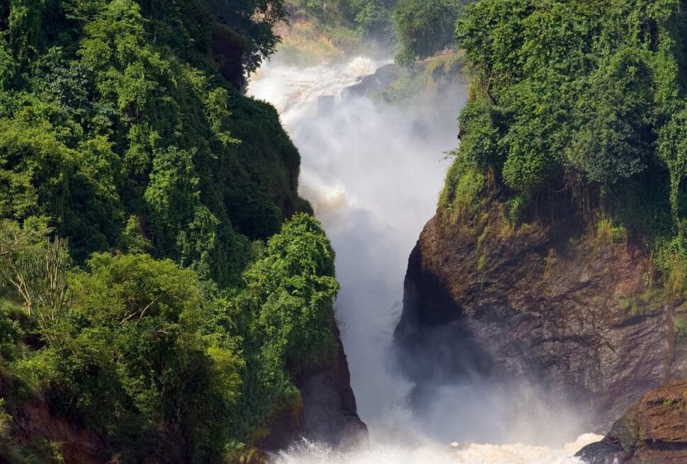The Ultimate Guide to Murchison Falls Top Activities (2024 Safari Edition)