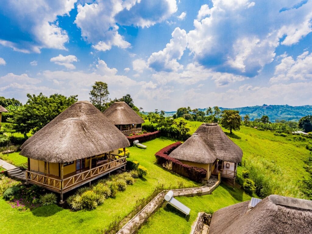 How to Choose the Perfect Safari Lodge: An Adventure Travel Guide