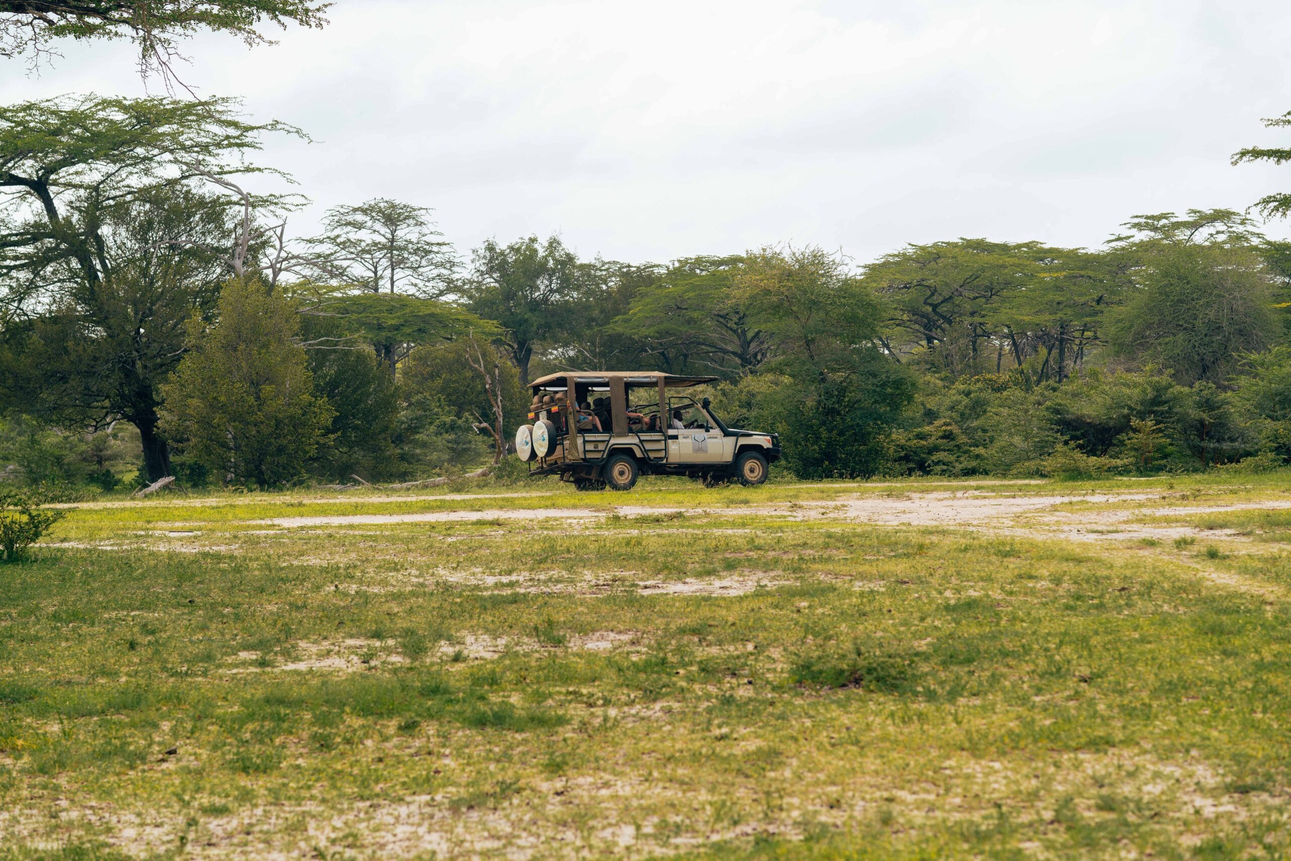 Conseils pour voyager en Ouganda - Safari 4x4 dans le parc national Queen Elizabeth