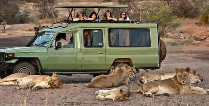 Uganda Safari from Entebbe Airport: The Complete Guide for First-Time Visitors (2026)