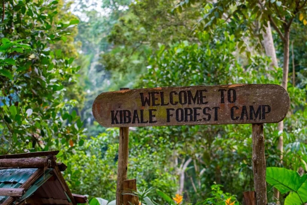 Kibale Forest Lodge