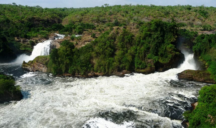 The Ultimate Guide to the Murchison Falls Game Drive Experience: Costs, Wildlife & Best Times 7 The Ultimate Guide to the Murchison Falls Game Drive Experience: Costs, Wildlife & Best Times