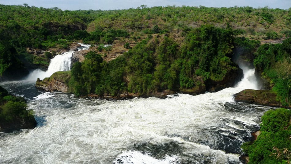 Murchison Falls game drive