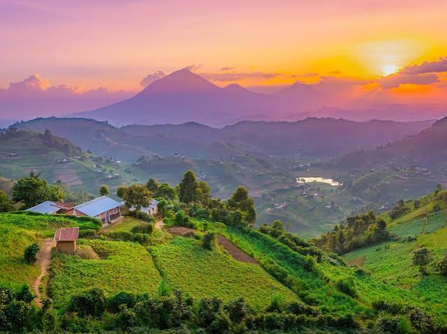 Uganda Safari: The Ultimate Travel Guide for Visitors from the USA, Europe & Australia (2026)