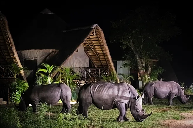 Ziwa Rhino Sanctuary