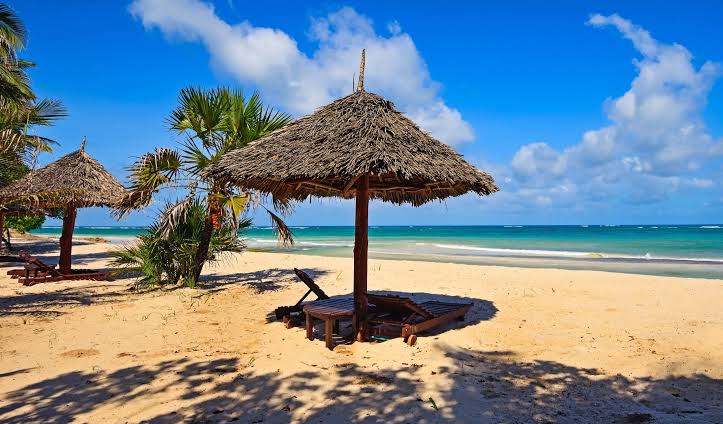 Afraeka Adventures: Your Gateway to Authentic East African Safaris