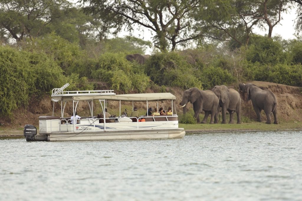 Queen Elizabeth National Park 2025/2026: Wildlife, Tree-Climbing Lions & Ultimate Safari Guide 4 Lesser flamingos wading in the crater lakes of Queen Elizabeth National Park, a premier birding destination in Uganda.
