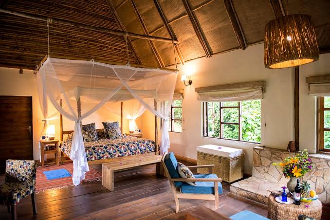 Elegant eco-suite interior at a top-tier lodge during a luxury safari in Uganda.