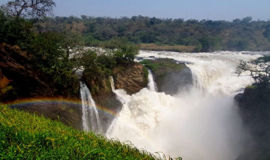 The Ultimate Safari in Uganda Murchison Falls 2025/2026: The Nile’s Greatest Spectacle