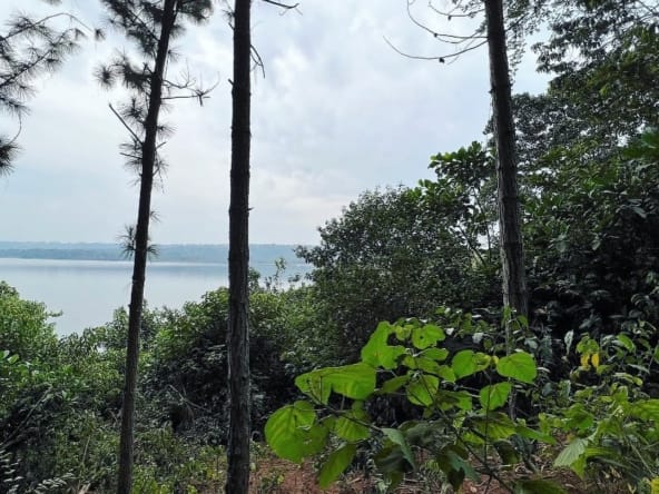 Ssese Islands Bugala beach Uganda travel guide