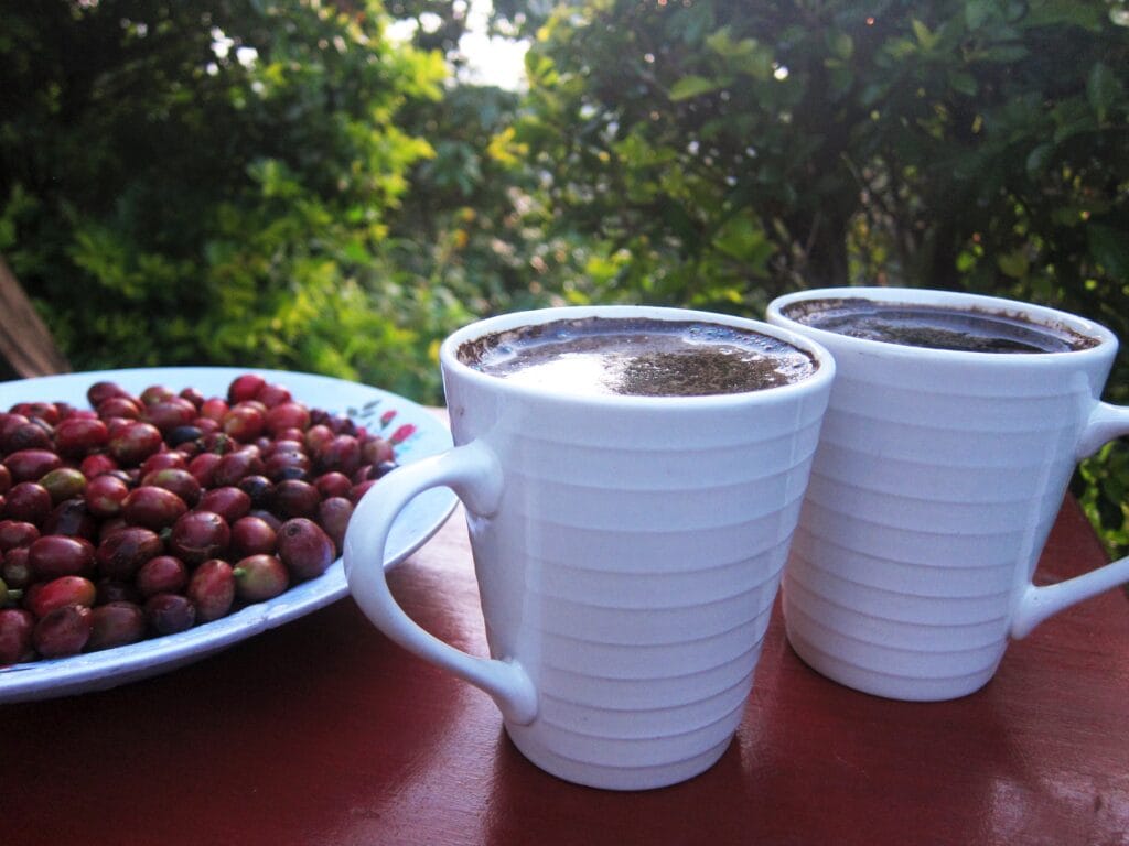 Tourist participating in a traditional coffee roasting and grinding tour at Ruboni Village