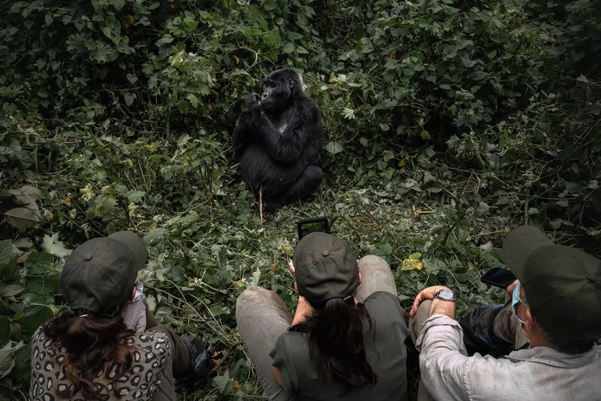 Tourists with armed rangers before using their gorilla permits Uganda for a trek in Bwindi forest.