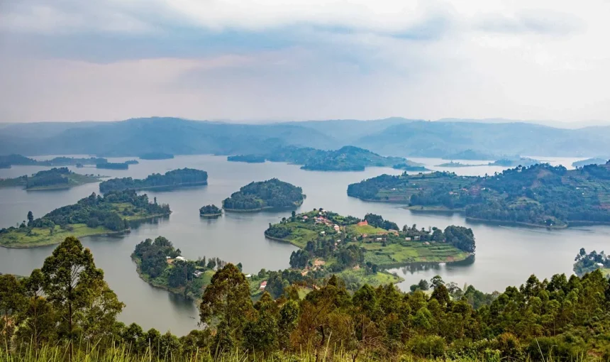 3 Day Bwindi Gorilla Trek with Lake Bunyonyi Relaxation Itinerary (2026/2027 Guide)