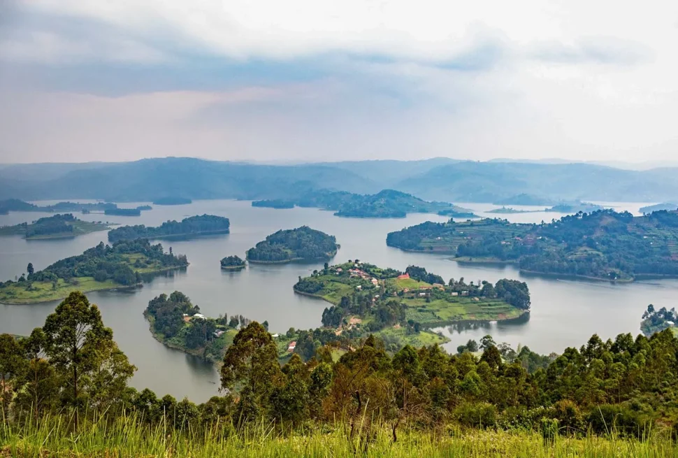 A mountain gorilla in Bwindi Impenetrable Forest on a 3 day Bwindi gorilla trek with Lake Bunyonyi relaxation itinerary