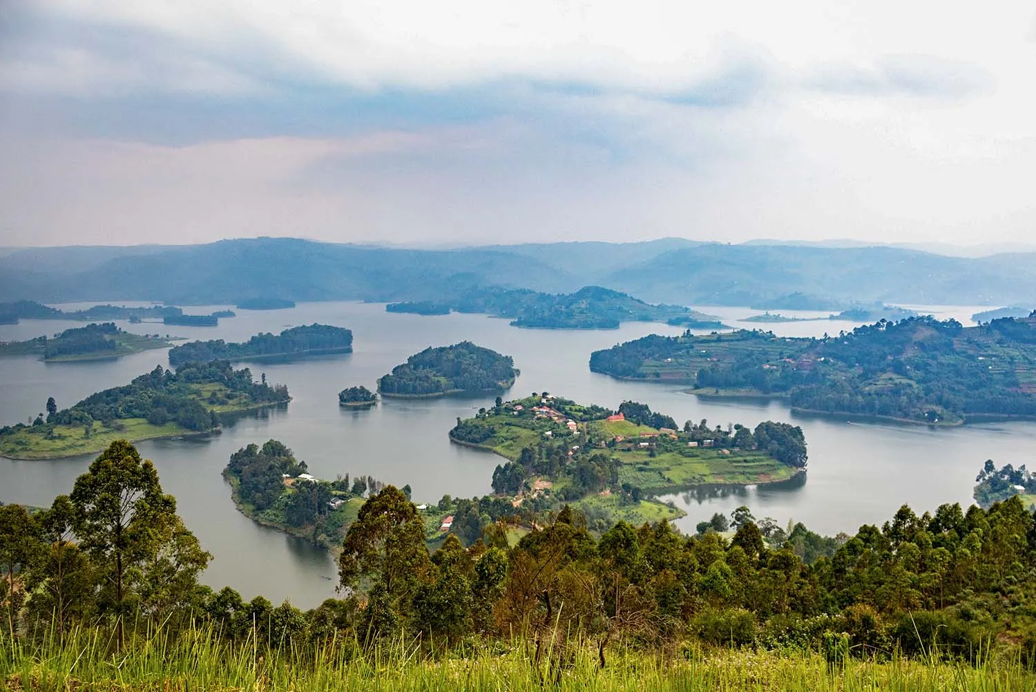 A mountain gorilla in Bwindi Impenetrable Forest on a 3 day Bwindi gorilla trek with Lake Bunyonyi relaxation itinerary