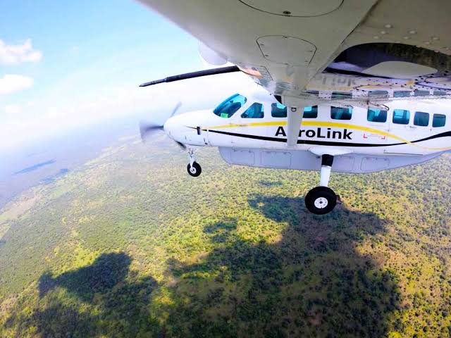 3 Day Luxury Gorilla Trekking Safari Bwindi Fly In From Entebbe (2026/2027 Guide)