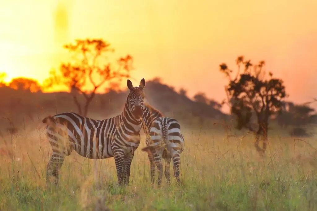 Sunset over Lake Mburo during a 3-Day Lake Mburo safari