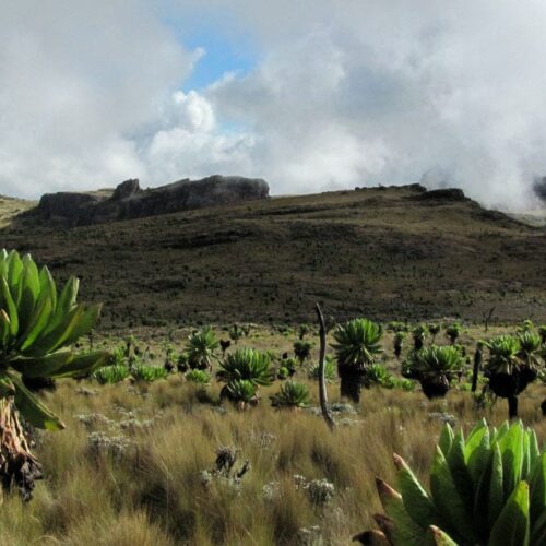 5 Days Hiking Mt. Elgon to the Highest Peak - Afraeka Adventures