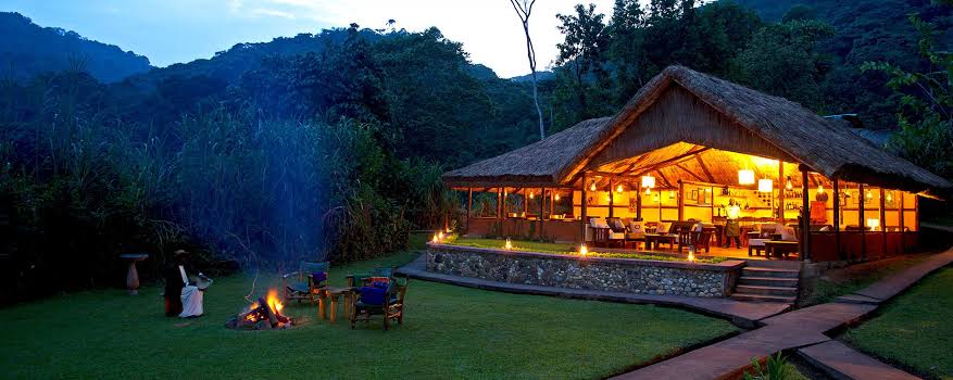 5 Star Safari Lodges Uganda: Top Luxury Accommodations for Discerning Travelers (2026/2027 Guide) 2 Gorilla Forest Lodge, a premier 5 star safari lodge in Uganda inside Bwindi National Park