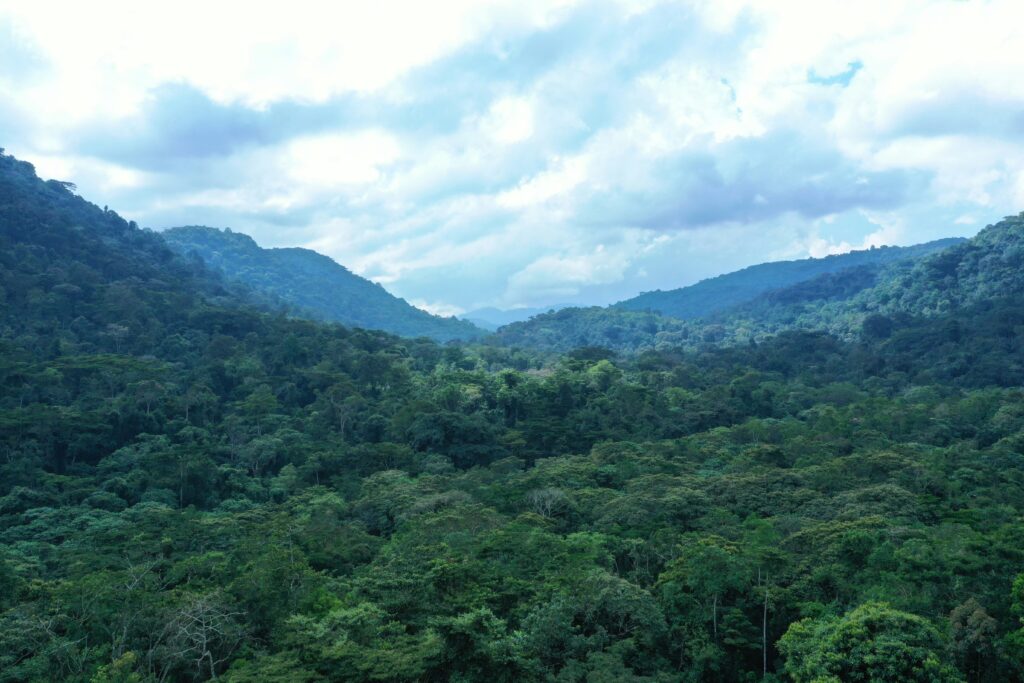 5-day-uganda-gorilla-safari-tour