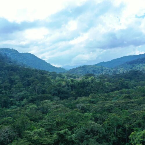 5-day-uganda-gorilla-safari-tour
