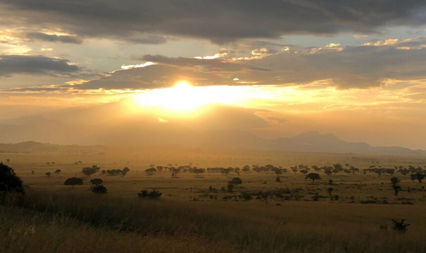 6 Day Luxury Fly-In Safari to Kidepo Valley and Murchison Falls (2026/2027 Guide)