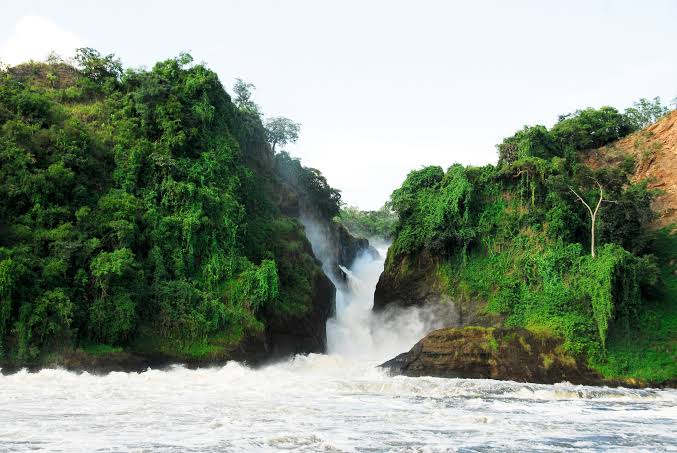 Murchison Falls on an 8 day fly-in luxury safari Murchison Falls Queen Elizabeth Bwindi