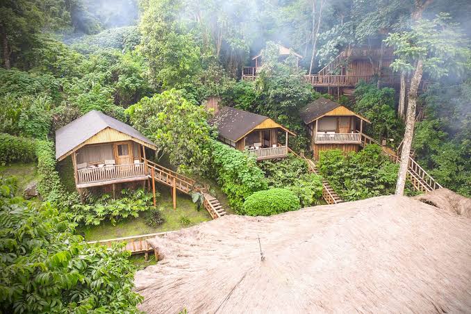 A wheelchair-accessible lodge in Bwindi with roll-in showers for a 6 day wheelchair accessible gorilla trekking safari Uganda itinerary