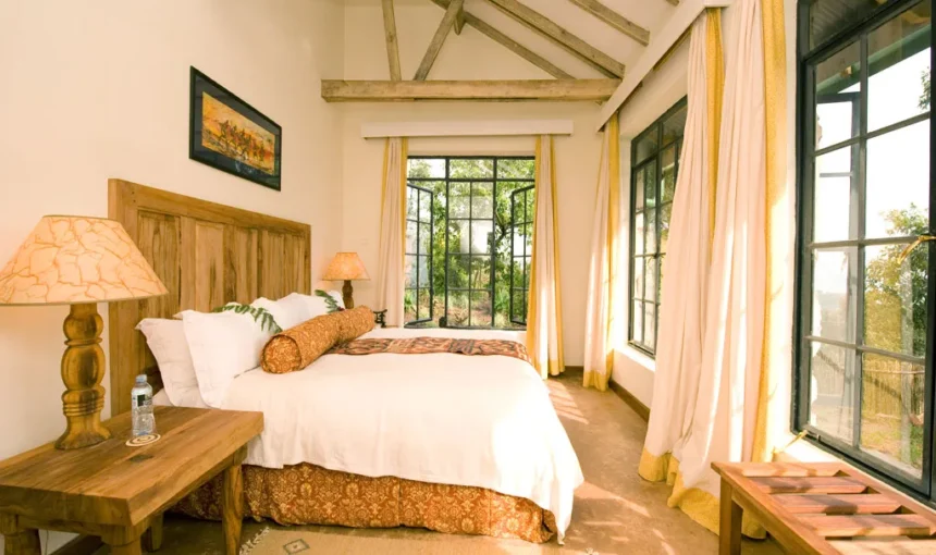 Best Lodges in Bwindi Impenetrable National Park: The Ultimate Accommodation Guide (2026/2027)