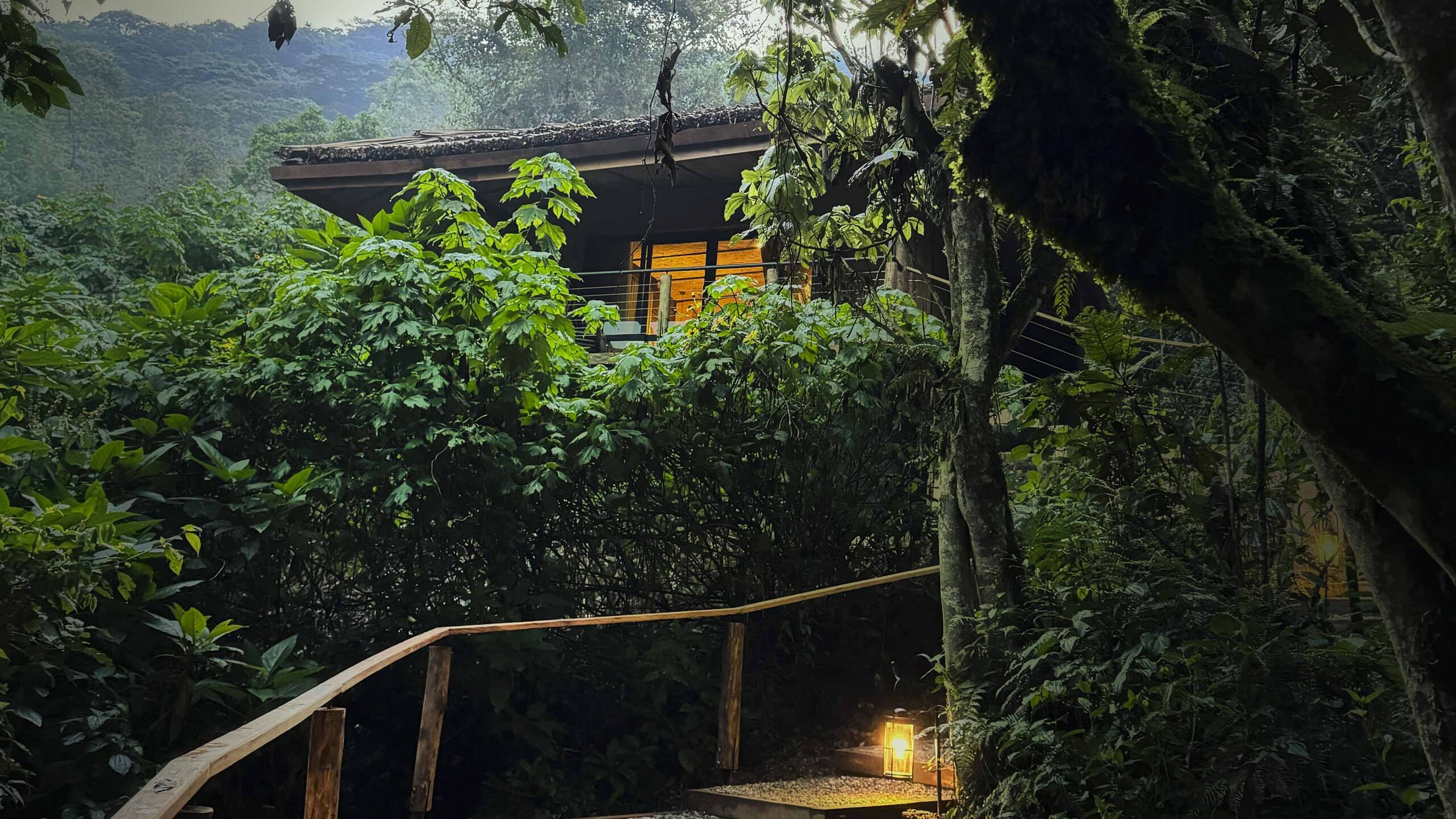 Sanctuary Gorilla Forest Camp, an intimate tented lodge among the best lodges in Bwindi Impenetrable National Park