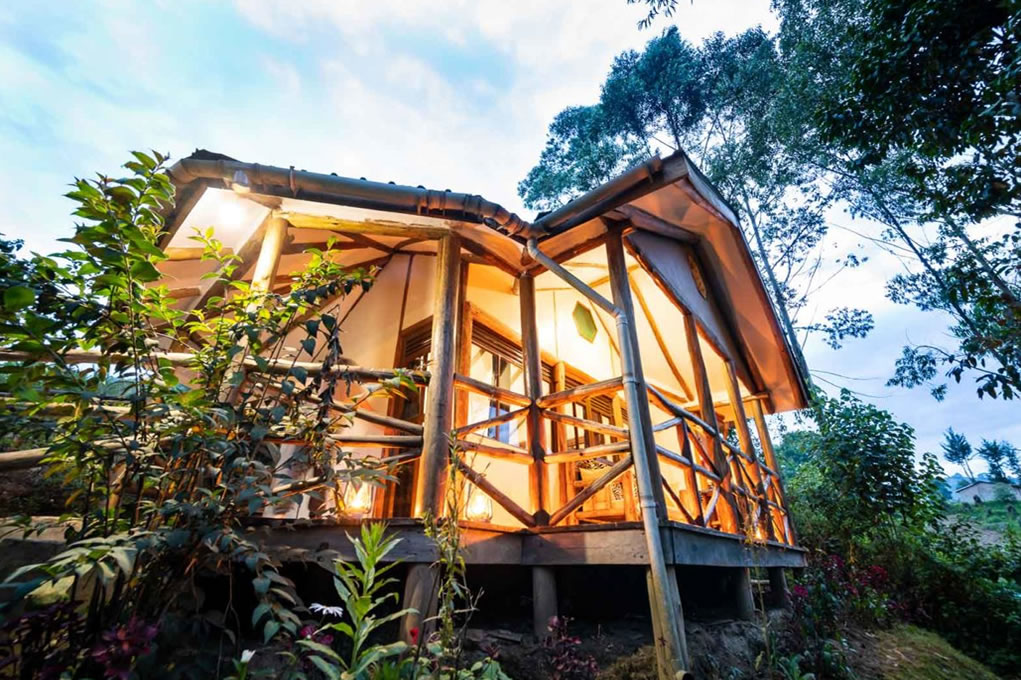 Gorilla Safari Lodge, one of the best lodges in Rushaga sector offering excellent value and comfort