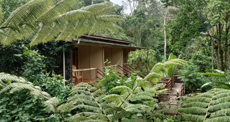 Nshongi Camp, a tented option among the best lodges in Rushaga sector