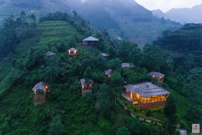 The Rushaga sector of Bwindi, home to the best lodges in Rushaga sector for gorilla trekking
