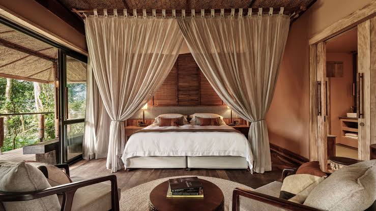 Best Luxury Lodges in Uganda: Top 10 Safari Accommodations for Discerning Travelers (2026/2027 Guide) 2 Gorilla Forest Lodge, the only luxury lodge inside Bwindi, among the best luxury lodges in Uganda