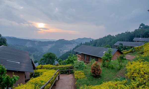 Simple budget accommodation in Bwindi for travelers on a 3 day budget gorilla safari from Kigali